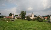 Tocht Te voet Onhaye - Tour du Village (Falaën) - Photo 6