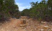 Excursión Senderismo La Londe-les-Maures - Dolmen de Gautabry par le vallon de Tamary - Photo 14