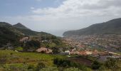 Trail Walking Machico - Madère : du tunnel de Caniçal à Porto da Cruz - aller en bus - Photo 4