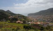 Excursión Senderismo Machico - Madère : du tunnel de Caniçal à Porto da Cruz - aller en bus - Photo 4