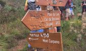 Trail Walking Castellar - mont carpano au départ de Castellar - Photo 3