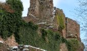 Tour Wandern Mollkirch - Château de Guibaden - Photo 7