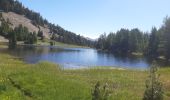 Randonnée Marche Seyne - SEYNES,  parking du col col Bas  , piste militaire.  Dormiouse,  lac du Milieu  , lac Noir , lac Gué,  col Bas o l - Photo 3