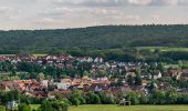 Excursión A pie Baunach - Greifvogel-Wanderweg Baunach - Photo 5