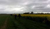 Tour Wandern Saint-Pierre-des-Fleurs - 20240409-StPierre des Fleurs Cool - Photo 20