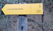 Trail Walking Les Mées - LES MÉES. CHEMIN DES OLIVIERS. S APOLLINAIRE  N - Photo 3