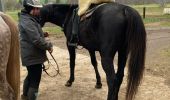 Percorso Equitazione Métairies-Saint-Quirin - Kalio joyeux  - Photo 2