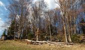 Tour Zu Fuß Gemeinde Muggendorf - Almesbrunnberg (Touristenheim) - Berg - Photo 1