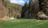 Tocht Te voet Weismain - Frankenberg Rundweg - Photo 1