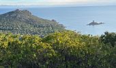 Excursión Senderismo Saint-Raphaël - Lacs esterel et tour Dramont - Photo 4