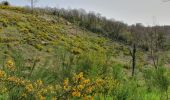 Tour Wandern Saint-Nicolas-du-Pélem - Le Faoudel par la droite - Photo 1