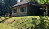 Tour Wandern Walscheid - Elsassblick,Refuge des Bûcherons, Altmatt,M.F. du Grossmann  - Photo 3