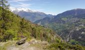 Trail Walking Zeneggen - Circuit Zeneggen - Toerbel - chemin panoramique 05.2019 - Photo 2