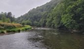 Tocht Stappen Vresse-sur-Semois - rando laforêt 23-08-2024 - Photo 4