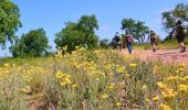 Trail Walking Le Cannet-des-Maures - Boucle autour du Lac des Escarcets - Photo 5