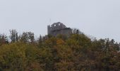 Tour Wandern Waldkirch - Waldkirch - grande boucle des ruines du Schwanzenberg - Photo 1