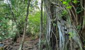 Trail Walking Sainte-Anne - Quartier ferré vers Cap Chevalier avec modification du parcours en cas de problème à Anse aux bois !  - Photo 11