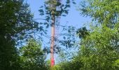 Trail Walking Canteleu - Forêt monumentale - Photo 13