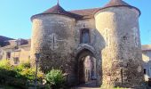 Tour Zu Fuß Joigny - Boucle 25 km Joigny La Roche - Photo 13