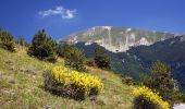 Excursión A pie Scheggia e Pascelupo - (SI N12) Isola di Fossara - Chiaserna - Photo 4