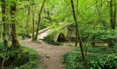 Trail Walking Rocamadour - les lavandes d'Alix - Photo 12