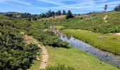 Tour Wandern Zicavo - Matsala Incudine - Photo 5