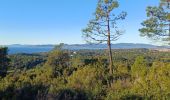 Tocht Stappen Saint-Raphaël - les ferrières depuis le parcours pédestre de St Raphaël - Photo 9