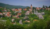 Randonnée A pied Zagreb - Planinarska staza Medvednica 14 - Photo 6