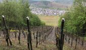 Randonnée Marche Leiwen - Leiwen hohe 6,6 km vineyards view  - Photo 2