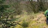 Randonnée Marche Bullange - Rocherath (Rocher de Bieley) 12 Km - Photo 1