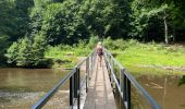 Trail Walking Houffalize - Les deux Ourthes au départ de Filly - Photo 19