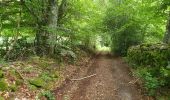 Trail Walking Saint-Merd-les-Oussines - RA2020 MIV Tour Tourbière Loigeroux - Photo 1