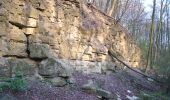 Tour Zu Fuß Nottuln - Longinusturm Rundweg A3 - Photo 4