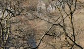 Percorso Marcia Durbuy - Verlaine sur Ourthe balade des crêtes  - Photo 3