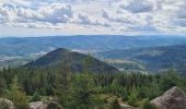 Tour Wandern Lützelhausen - Rocher de Mutzig (variante) - Photo 16