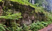 Tour Wandern Markirch - 2020-06-20 Marche Tete du Violu Col de Ste Marie - Photo 2