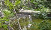 Excursión Senderismo Villarembert - 20190813 Boucle de Villarembert - Photo 1