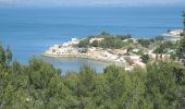 Tour Wandern Saint-Mitre-les-Remparts - PF-Saint-Mitre-les-Remparts - Le Balcon du Caderaou - Photo 13