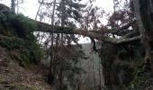 Percorso Marcia Ottrott - 2023-02-18 Vorbruck - Mt st Odile - Photo 13