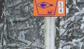 Tour Schneeschuhwandern Gerdsee - Gerardmer raquettes 5 - Photo 6
