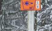 Trail Snowshoes Gérardmer - Gerardmer raquettes 5 - Photo 6