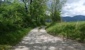 Trail Walking Glandage - L'Aupillon (Glandage) - Photo 12