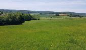 Tour Wandern Jussey - marche don du sang Jussey 15 5 2022 - Photo 5