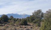 Tocht Stappen Caixas - Fontcouverte Mont-Helena Chapelle Saint-Marc Boucle - Photo 1