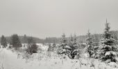 Tocht Stappen Büllingen - Murringen - Weissen Stein - Murringen  - Photo 11