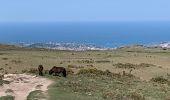 Tour Wandern Ascain - Col de la Rhune - Photo 4