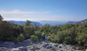 Tocht Stappen Le Revest-les-Eaux - Tourris pyramide de Cassini - Photo 4