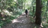 Tocht Stappen Sprimont - combain-au-pont vers camping des - Photo 3