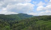 Trail Walking Foncine-le-Bas - Autour de la cascade du Bief de la Ruine 🥾 - Photo 18