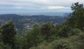 Trail Walking Grasse - Plateau de la malle - Photo 7